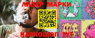 стафф Дубна