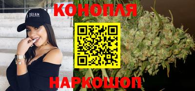 стафф Дубна