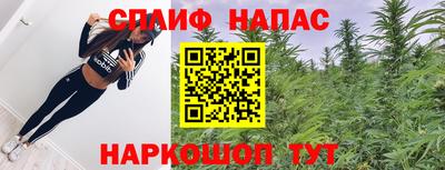 стафф Дубна