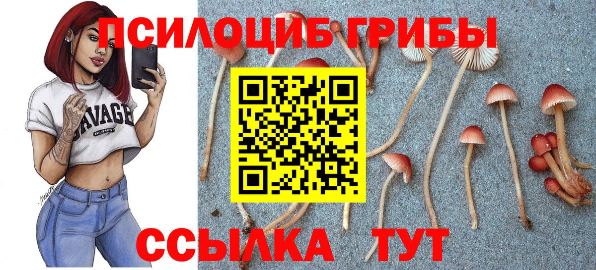 Назрань  Галлюциногенные грибы ЛСД  Вход с VPN  Псилоцибиновые грибы мицелий 